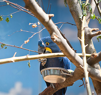 骚扰短信呼叫软件