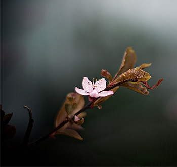 手机号在线压测平台