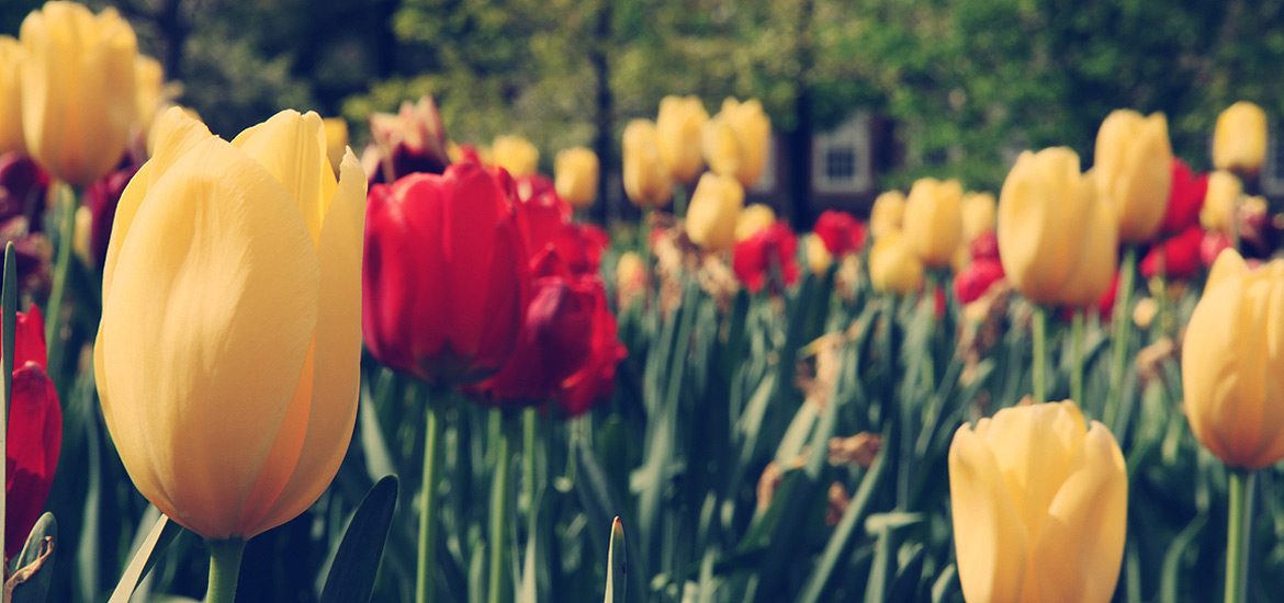 轰炸手机短信软件