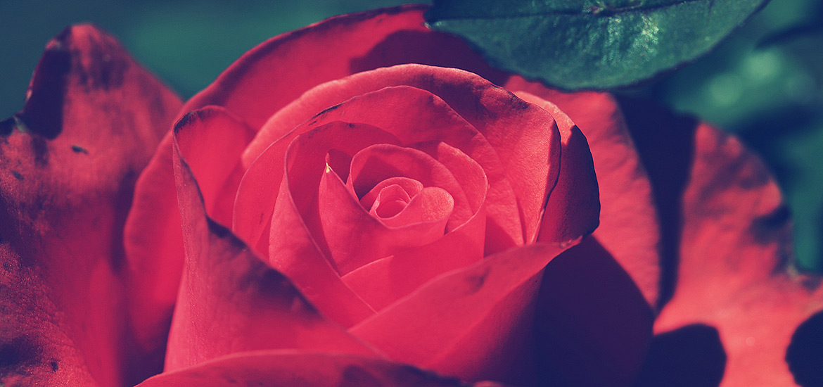 轰炸手机短信软件